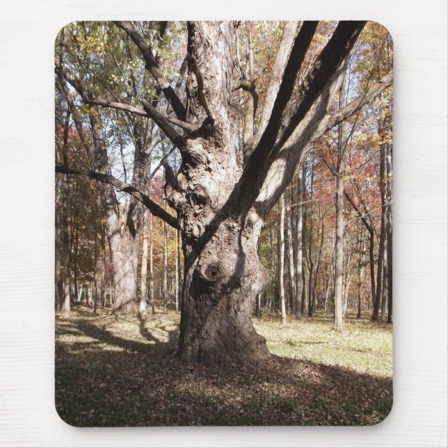 Weird Tree Mouse Pad (Front)