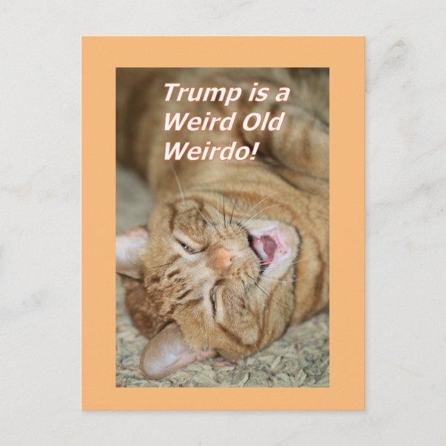 Weird Trump  Holiday Postcard (Front)
