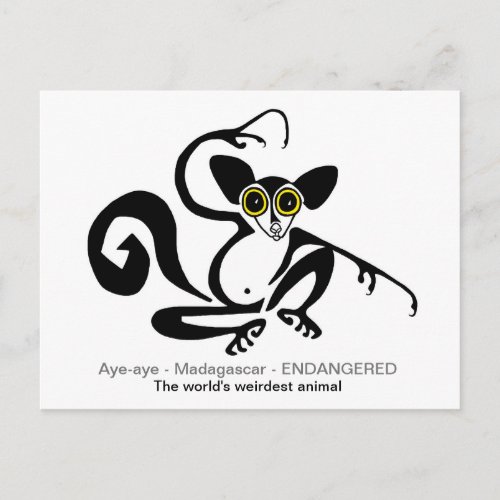 Weird wildlife _ AYE_AYE _ lemur_ primate Postcard