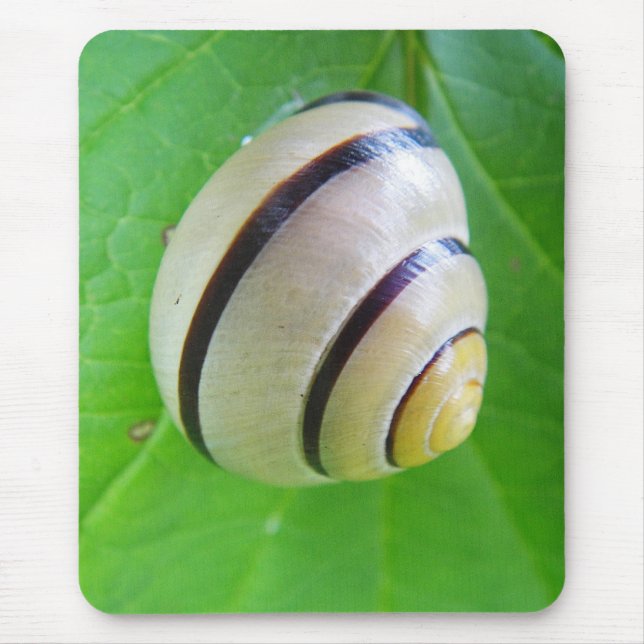 Weiß-braune Schnecke Mouse Pad (Front)