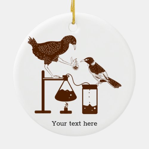 Weka and tui science experiment ceramic ornament