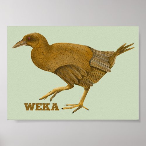 Weka NZ bird Poster
