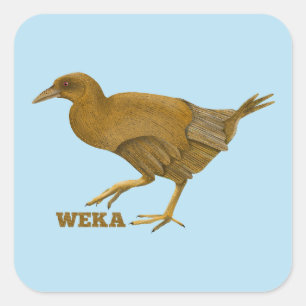 Weka N.Z. bird Square Sticker