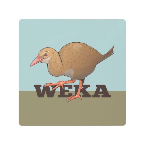 Weka New Zealand Bird Metal Print