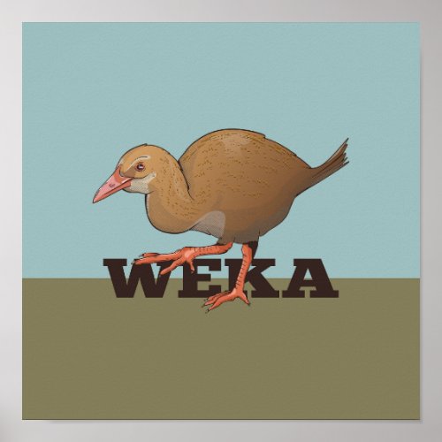 Weka New Zealand Bird Poster