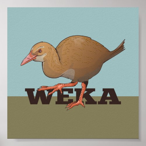 Weka New Zealand Bird Poster