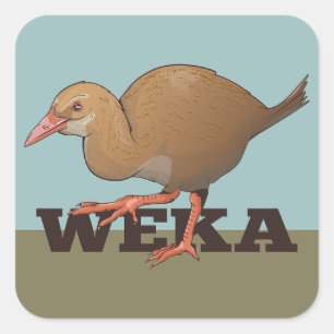 Weka New Zealand Bird Square Sticker