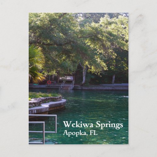 Wekiwa Springs Apopka FL Postcard