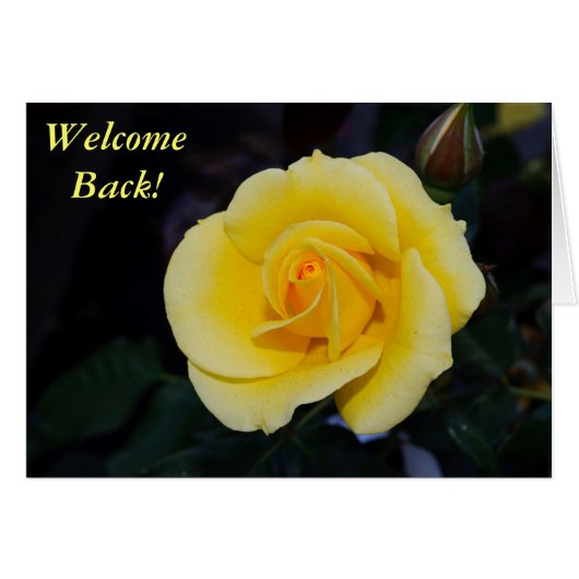 Welcome Back Yellow Rose Cards (Front Horizontal)