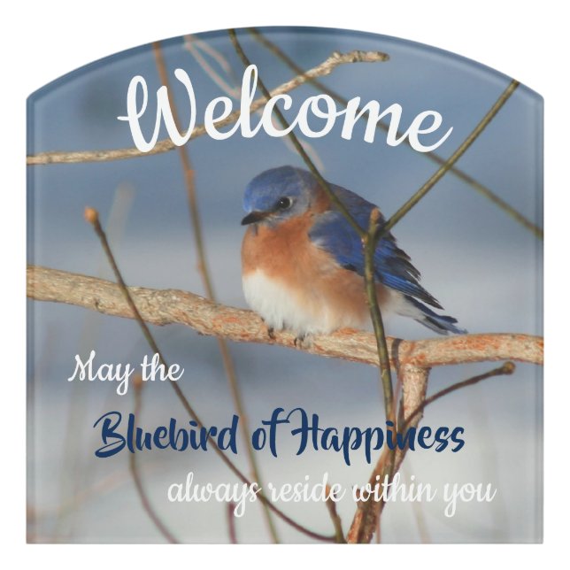 Welcome Bluebird Of Happiness Inspirational   Door Sign (Contour Front)