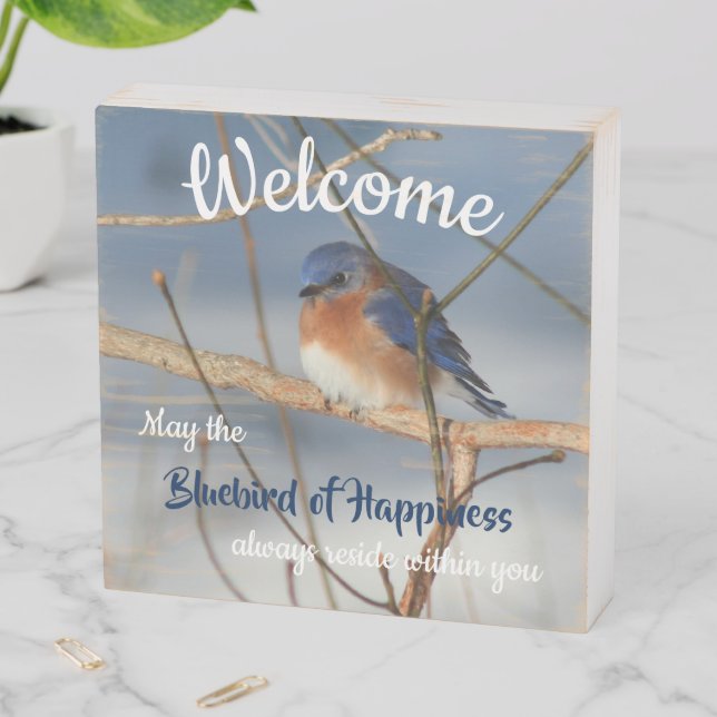 Welcome Bluebird Of Happiness Inspirational   Wooden Box Sign (In Situ Horizontal)
