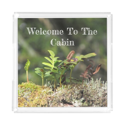 Welcome Cabin Fern Moss Nature Green Plant Guest Acrylic Tray