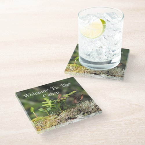 Welcome Cabin Green Nature Rustic Vacation Rental Glass Coaster