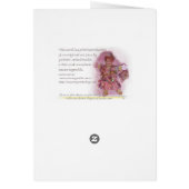 Welcome Cards (Back)
