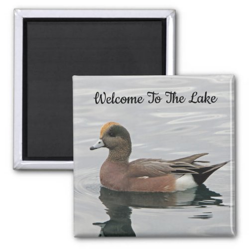 Welcome Duck Photo Wigeon Calm Water Lake House Magnet