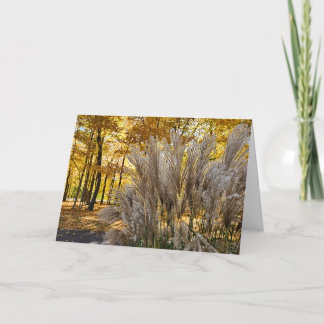 Welcome Fall Golden Twilight Miscanthus  Card (Front)