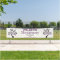 Welcome Family Reunion Modern Purple Tree