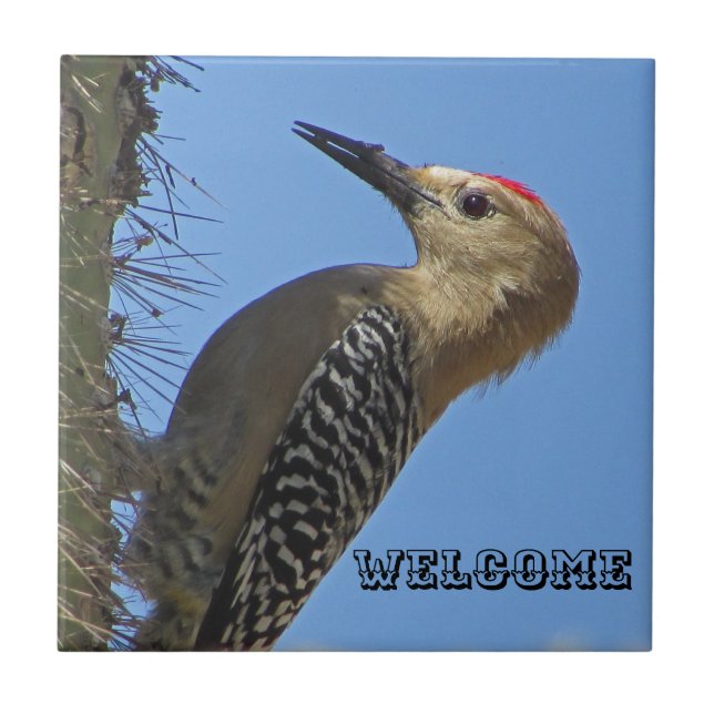 Welcome Gila Woodpecker Photo Southwest Bird Ceramic Tile (Front)