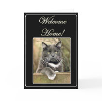 welcome_home_cat_greeting_card-p137611320552780411tra8_210.jpg