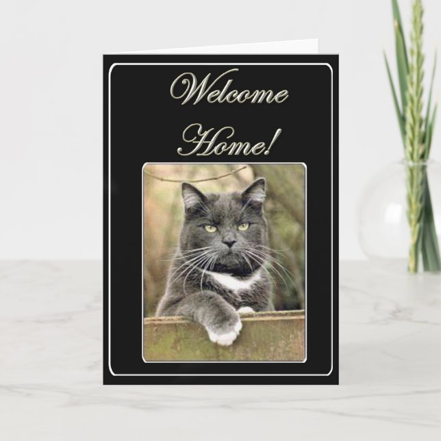 Welcome home cat greeting card (Front)