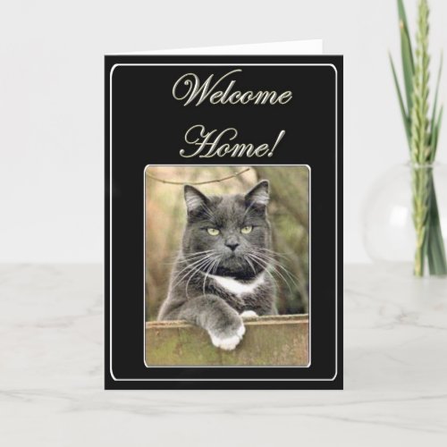 Welcome home cat greeting card