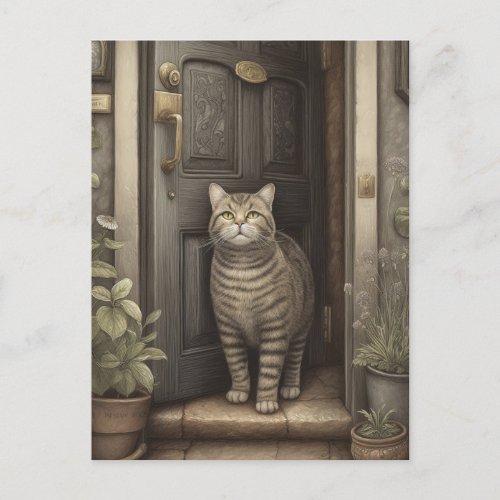 Welcome Home Cat Postcard