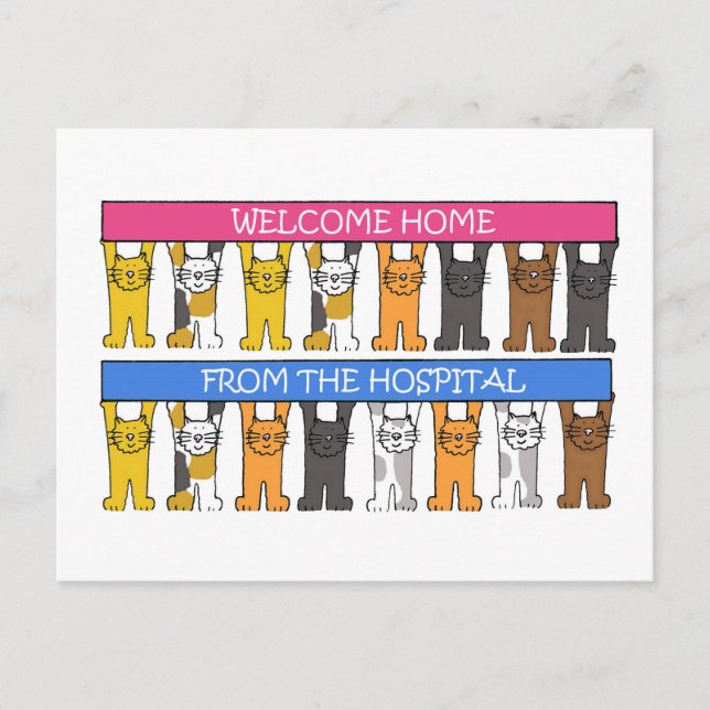 Welcome Home from the Hospital Cartoon Cats Postcard (Front)