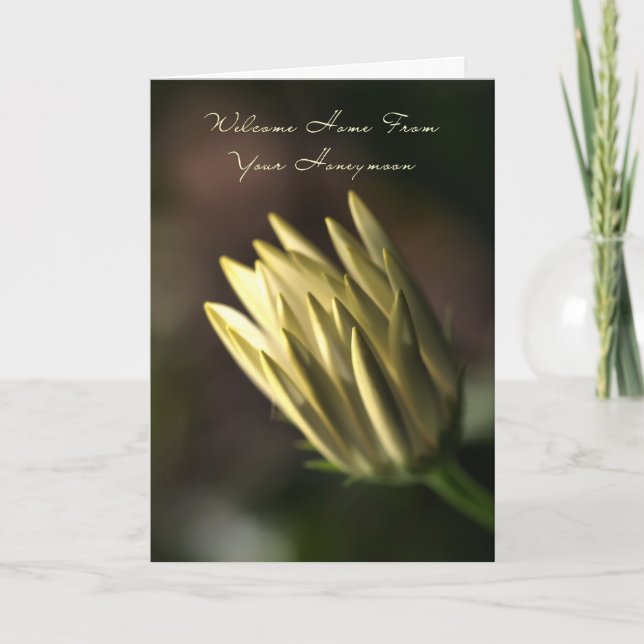 Welcome Home From Your Honeymoon - Flower Bud Card (Front)