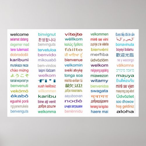 Welcome in 80 languages Poster