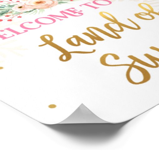 Land of Sweets Nutcracker Ballerina Girl Poster Zazzle