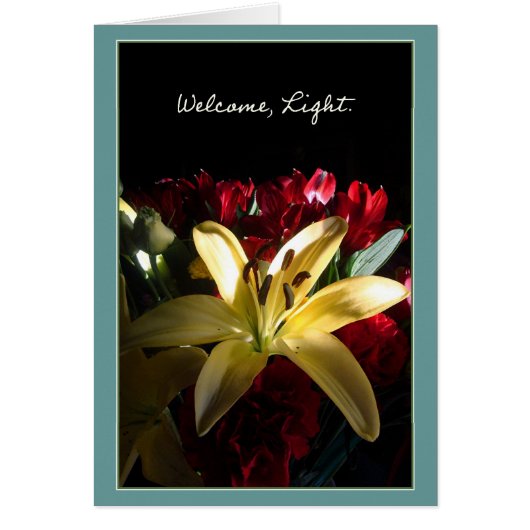 Welcome, Light / Bienvenida, luz Cards (Front)