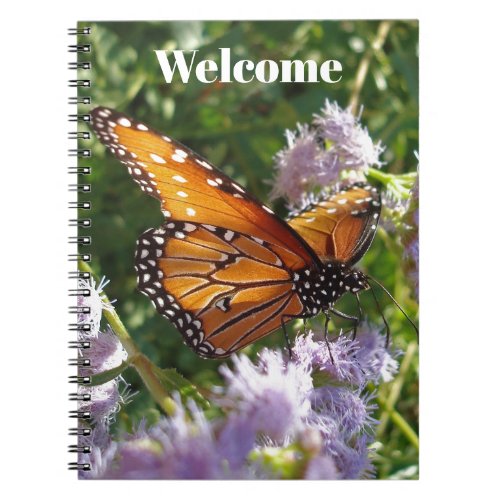 Welcome Monarch Butterfly Photo Guest Comment Notebook