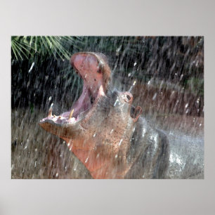 Welcome Shower Hippopotamus Portrait Poster