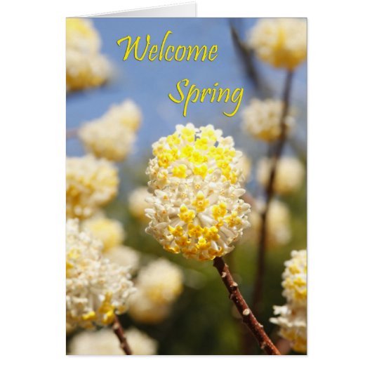 Welcome Spring (Front)