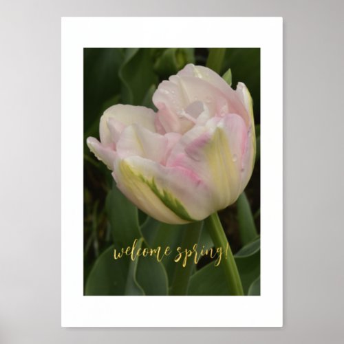 Welcome Spring Pink Tulip Foil Text Print Poster