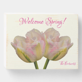 Welcome Spring Tulips Desk Wall Wood Box Sign