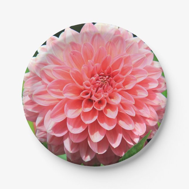 Welcome Spring with a Giant Pink Dahlia Paper Plates (Front)