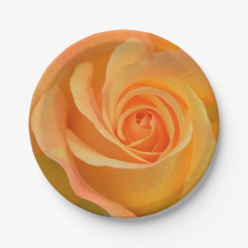 Welcome Spring with a Giant Yellow Rose Paper Plates