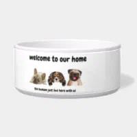 Funny Dog Gift Pet Food Bowl Water Bowl Cat Bowls Dinner Drinks  Personalized Dog Bowl Ceramic 6 or 7 White 1 