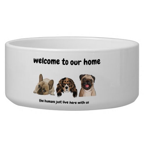 Welcome to dogs home _ funny dog bowl