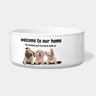 Welcome to dog's home - funny dog quote bowl