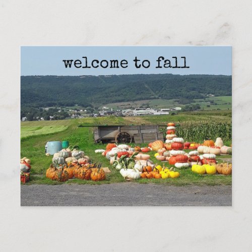 welcome to fall pumpkin farm post card