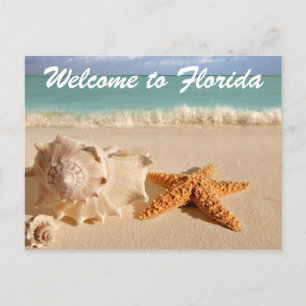 Welcome to Florida Postcard