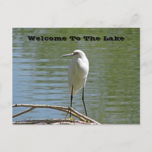 Welcome To Lake White Egret Photo Lakeside Guest Postcard