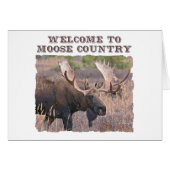 Welcome to Moose Country (Front Horizontal)