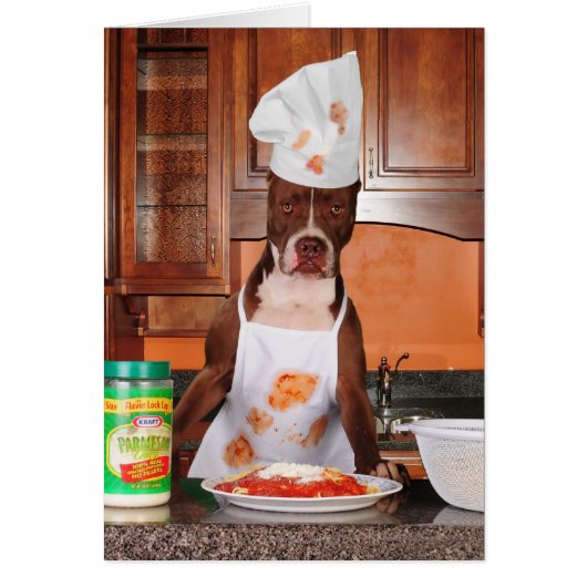 Welcome to my kitchen (Front)