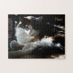 Welcome to my lair jigsaw puzzle