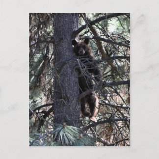 Welcome to Sisters Postcard