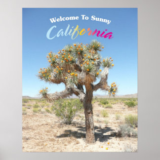 Welcome To Sunny California Poster