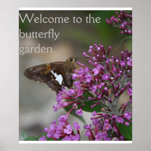 Welcome to the Butterfly Garden Poster__Skipper Poster